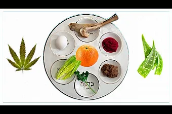 haggadah image