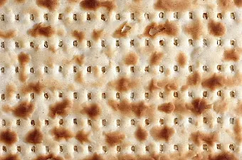 haggadah image