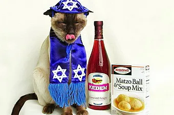 haggadah image