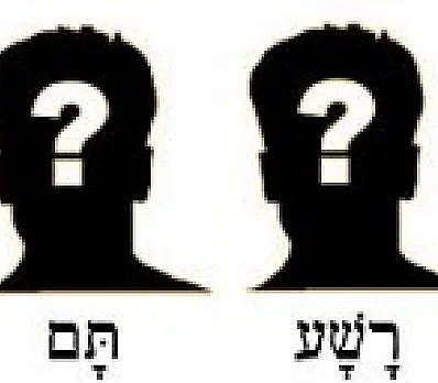 clip image