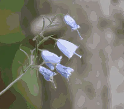 clip image