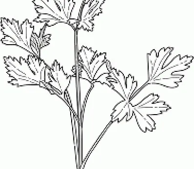clip image
