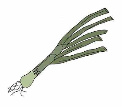 clip image