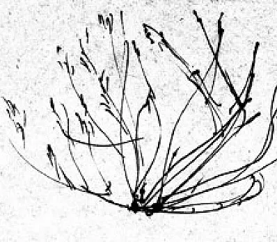 clip image