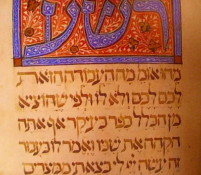 clip image
