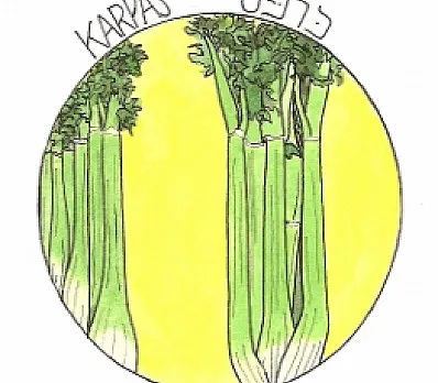 clip image