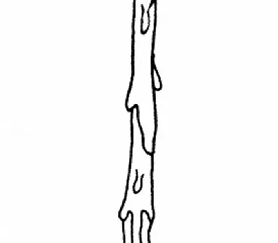 clip image