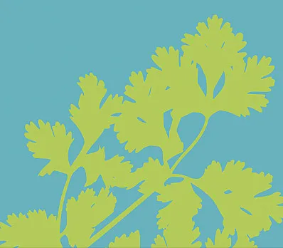 clip image