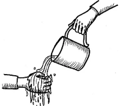 clip image