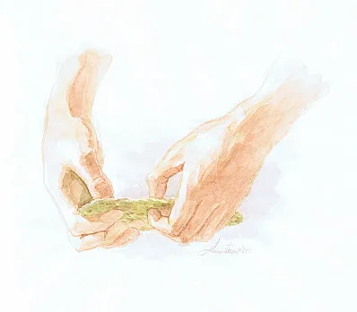 clip image